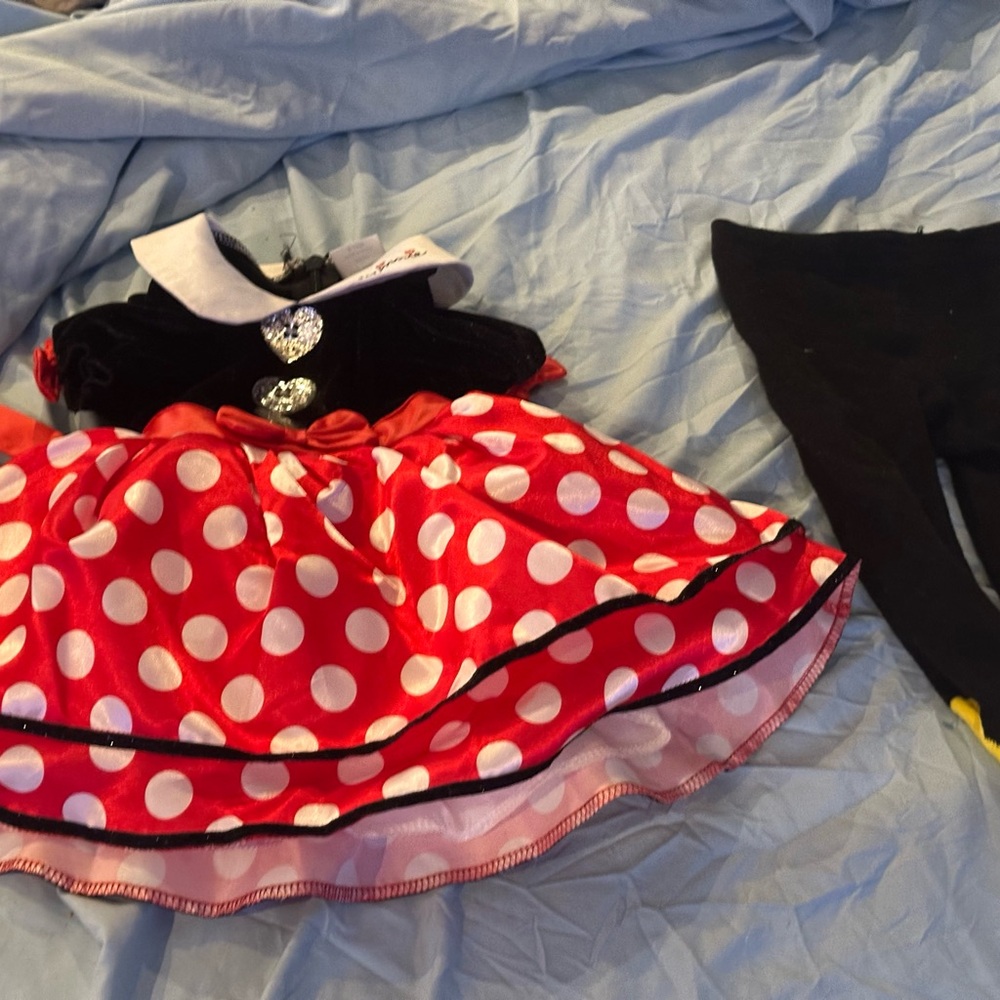 Disneys Minnie Mouse costume
